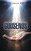 Godsends (eBook, ePUB)