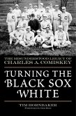 Turning the Black Sox White (eBook, ePUB)