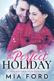 The Perfect Holiday (eBook, ePUB)