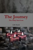 The Journey The Only Survivors (eBook, ePUB)