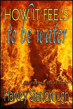 Cover How It Feels to Be Water (eBook, ePUB)