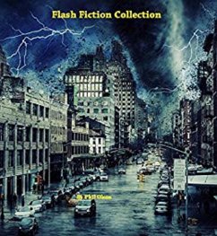 Cover Flash Fiction Collection (eBook, ePUB)