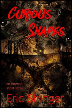 Curious Shapes (eBook, ePUB) - Stringer, Eric