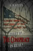 What If ... The Conspiracy Is Real? (eBook, ePUB)