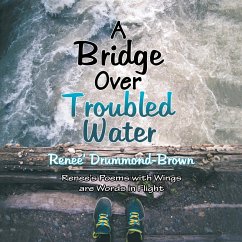 A Bridge over Troubled Water (eBook, ePUB)