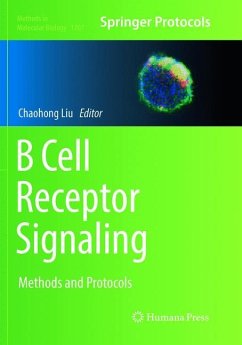 B Cell Receptor Signaling