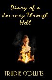 Diary of a journey through Hell (eBook, ePUB)