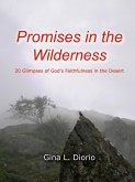Promises in the Wilderness (eBook, ePUB)