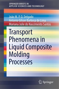 Transport Phenomena in Liquid Composite Molding Processes - Delgado, João M.P.Q.;Barbosa de Lima, Antonio Gilson;Santos, Mariana Julie do Nascimento