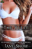 The Visit (eBook, ePUB) The Visit (eBook, ePUB)