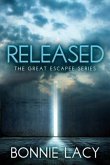 Released (eBook, ePUB)