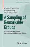 A Sampling of Remarkable Groups (eBook, PDF)