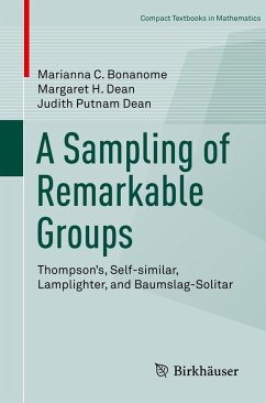 Cover A Sampling of Remarkable Groups (eBook, PDF)