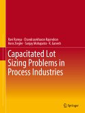 Capacitated Lot Sizing Problems in Process Industries (eBook, PDF)