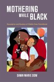 Mothering While Black (eBook, ePUB)