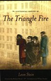 The Triangle Fire (eBook, PDF)