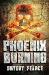 Phoenix Burning (eBook, ePUB) - Bild 1