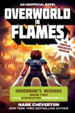 Overworld in Flames (eBook, ePUB)