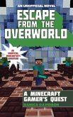Escape from the Overworld (eBook, ePUB)