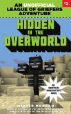 Hidden in the Overworld (eBook, ePUB)