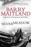 Silvermeadow (eBook, ePUB) Silvermeadow (eBook, ePUB)