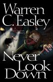 Never Look Down (eBook, ePUB)
