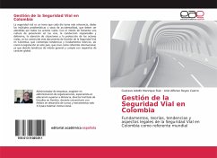 Gestión de la Seguridad Vial en Colombia - Manrique Ruiz, Gustavo Adolfo;Reyes Castro, Ariel Alfonso