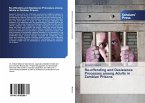 Re-offending and Desistance Processes among Adults in Zambian Prisons