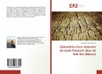 Géométrie d¿un réservoir de socle fracturé: bloc de Sidi Ifni (Maroc)