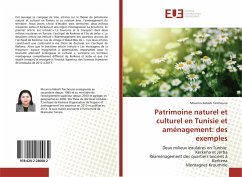 Patrimoine naturel et culturel en Tunisie et aménagement: des exemples - Kebaili Tarchouna, Mounira