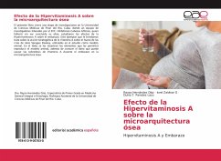 Efecto de la Hipervitaminosis A sobre la microarquitectura ósea - Hernández Díaz, Rayza;Zaldivar G, Isvel;Paredes Lazo, Dunia T.