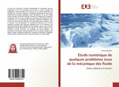 Étude numérique de quelques problèmes issus de la mécanique des fluide - Boussaha, Aicha