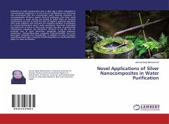 Novel Applications of Silver Nanocomposites in Water Purification