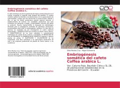 Embriogénesis somática del cafeto Coffea arabica L.