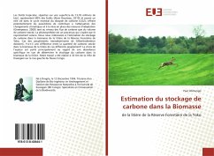 Estimation du stockage de carbone dans la Biomasse - Alimengo, Paul