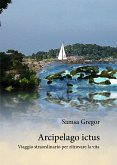 Arcipelago ictus (eBook, ePUB)