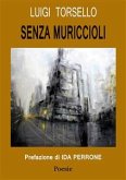 Senza muriccioli (eBook, ePUB)