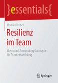 Resilienz im Team (eBook, PDF)