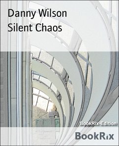 Silent Chaos (eBook, ePUB) - Wilson, Danny