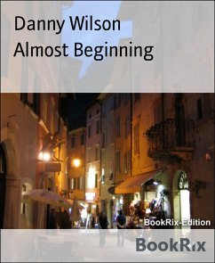 Almost Beginning (eBook, ePUB) - Wilson, Danny