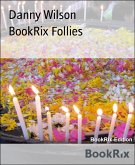 BookRix Follies (eBook, ePUB)