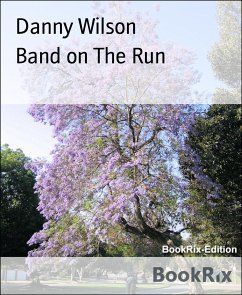 Band on The Run (eBook, ePUB) - Wilson, Danny