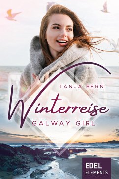 Winterreise (eBook, ePUB) - Bern, Tanja