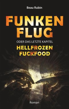 Funkenflug (eBook, ePUB) - Rubin, Beau