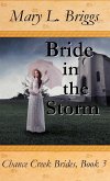 Bride in the Storm (Chance Creek Brides Book 3) (eBook, ePUB)