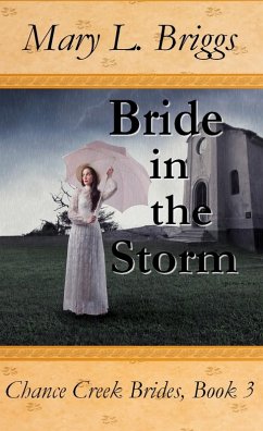 Bride in the Storm (Chance Creek Brides Book 3) (eBook, ePUB) - Briggs, Mary L.