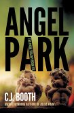 Angel Park (eBook, ePUB)