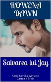 Salvarea lui Jay (eBook, ePUB)