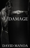 Damage (eBook, ePUB) Damage (eBook, ePUB)