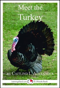 Meet the Turkey (eBook, ePUB) - Alexander, Caitlind L.